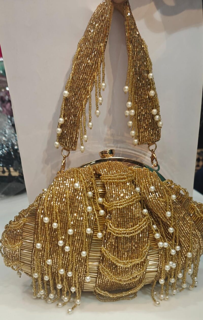 Golden Party Wear Bag Fully Cut Dana Detailing