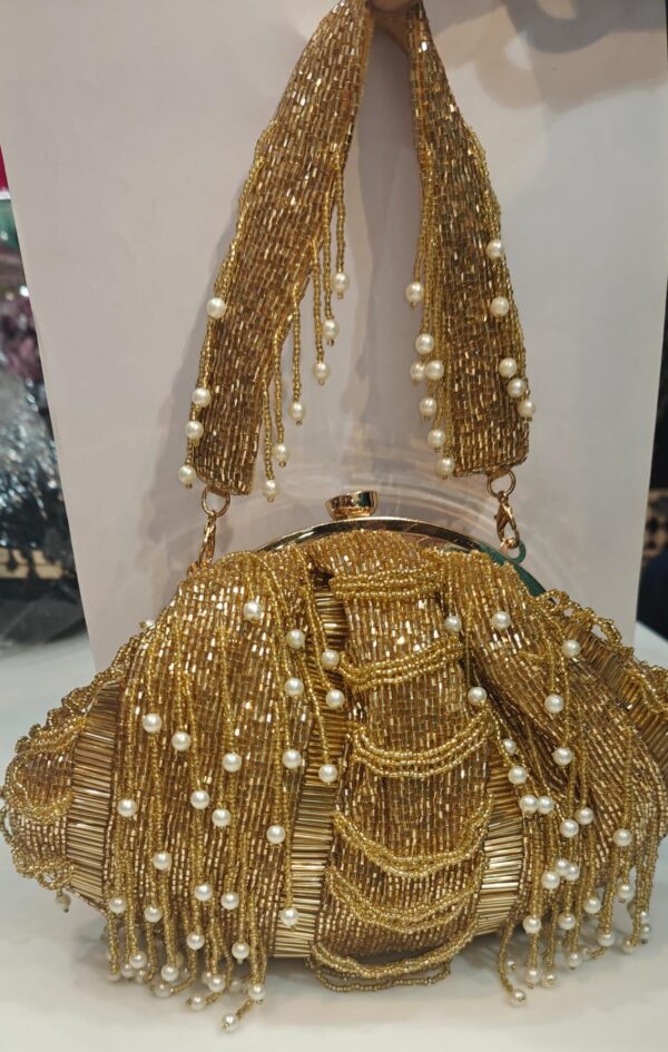 Golden Party Wear Bag Fully Cut Dana